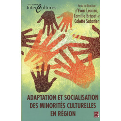 Adaptation et socialisation des minorités culturelles en région : Sommaire