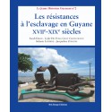Les résistances à l'esclavage en Guyane : XVII-XIXe siècles : Chapitre 3